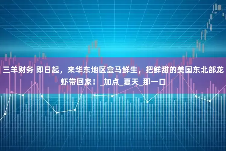 三羊财务 即日起，来华东地区盒马鲜生，把鲜甜的美国东北部龙虾带回家！_加点_夏天_那一口