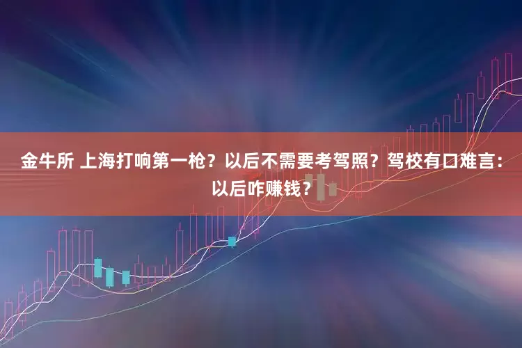 金牛所 上海打响第一枪？以后不需要考驾照？驾校有口难言：以后咋赚钱？